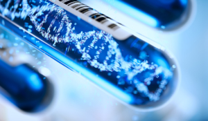 künstlerische Reagenzgläser mit Bläschen in einer blauen Flüssigkeit, welche einen DNA-Strang formen