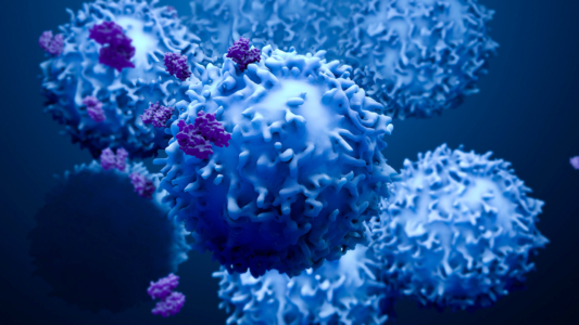 mehrere blaue Krebszellen illustriert mit anhaftenden Partikeln