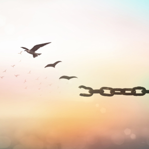 Illustration einer aufbrechenden Kette, deren Bruchstücke sich in wegfliegende Vögel verwandeln