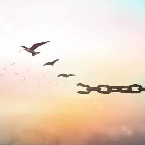 Illustration einer aufbrechenden Kette, deren Bruchstücke sich in wegfliegende Vögel verwandeln