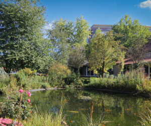 Ein Gartenteich, Bäume und Gebäude der Rehaklinik Bad Oexen