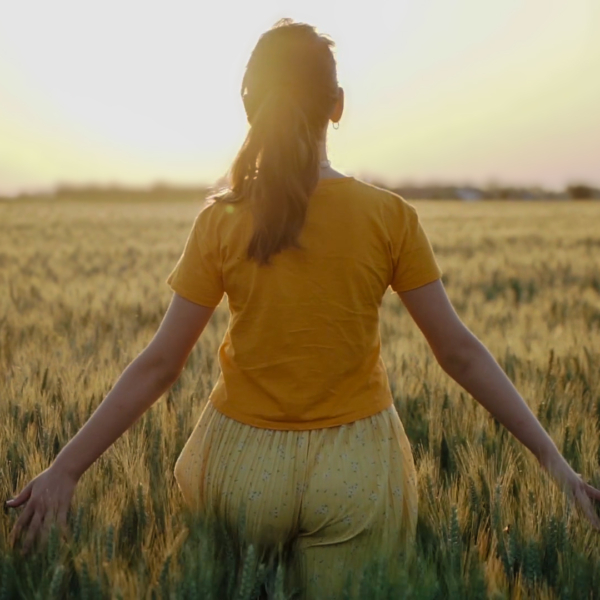 Junge Frau läuft in im Kornfeld der untergehenden Sonne entgegen und berührt mit den Händen die Ähren
