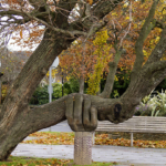 Eine Hand stützt einen Baum